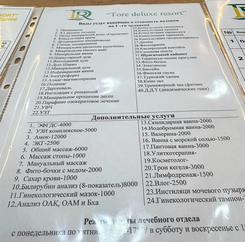 ☘ Санаторий Төре Сарыагаш